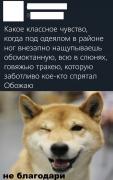 29FF67BD-7EC1-4032-8A01-A41FAB21C134.jpeg
