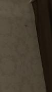 6D282ED1-3C6A-43CF-B7A3-040D79D8B8EC.jpeg