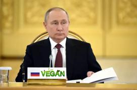 Снимок.JPG