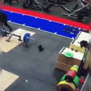 1652611799194327553.gif