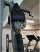 Screenshot 2022-05-07 211017.png