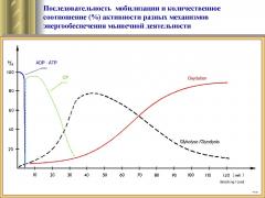 График механизмов энергообеспечения.jpeg