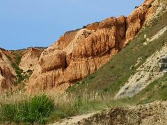 IMG_20220505_141757.jpg