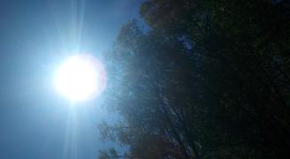 P_20240518_141908_1.jpg