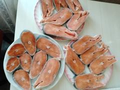 IMG_20240501_122456_457.jpg