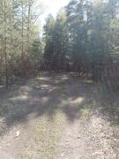 IMG_20240515_164817_130.jpg