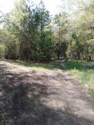IMG_20240515_164733_345.jpg