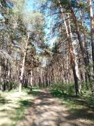 IMG_20240515_171958_240.jpg