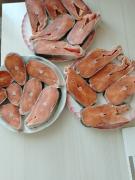IMG_20240501_122443_539.jpg