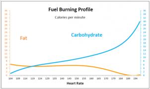 Сигание калорий от пульса.jpg