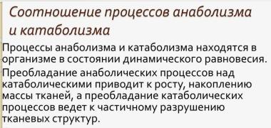 Ан.jpg