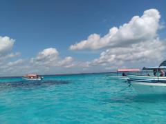 IMG-20240526-WA0005.jpg