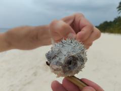 IMG_20240521_124430.jpg