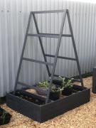 IMG-20250508-WA0005.jpg