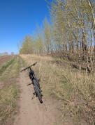 PXL_20250501_074507380.jpg