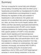 The liver is essential for normal fatty acid utilization.jpeg