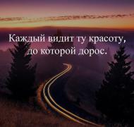 красота.jpg
