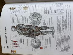 IMG_2057.jpeg