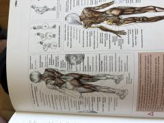 IMG_2058.jpeg