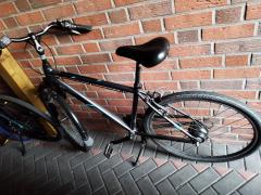 IMG_20260510_054926.jpg