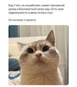 459_y.jpg