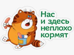 Корм.jpg
