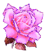 23837_4.gif