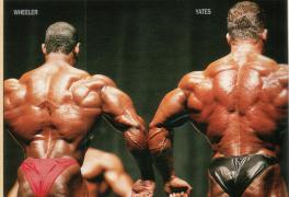 Flex_Wheeler_437.jpg