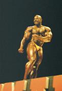 Flex_Wheeler_626.jpg
