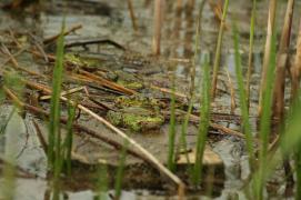 IMG_3094.JPG