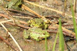 IMG_3099.JPG