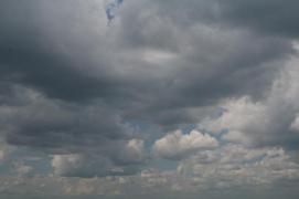 IMG_3110.JPG