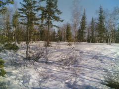 06062007_003_.jpg