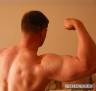 deltoid.jpg
