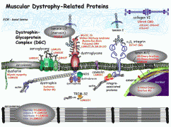 Science_SM_650.gif