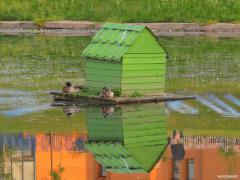 IMG_41861.jpg