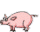 getImage_pig.gif