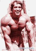 arni5.jpg