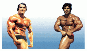 arni_franco.gif