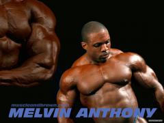 1024anthony1.jpg