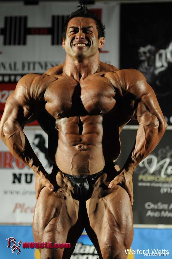 Hidetada Yamagishi