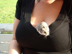DSC05330aaaa.jpg