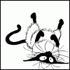 avatar_1800_1282751669.gif