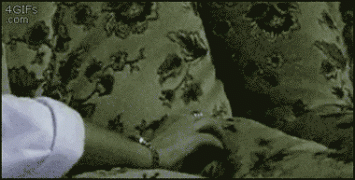 tumblr_lm83oaDw2p1qdpixdo1_400.gif
