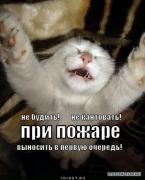 ne_kantovat_1289234259.jpg