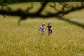 DSC04472__1280x768_.JPG
