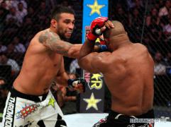01_AOvereem_Werdum_03.jpg