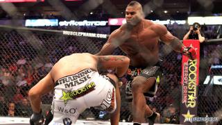 mma_overeem_werdum1x_576.jpg
