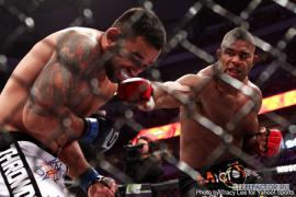 overeem2_large.jpg