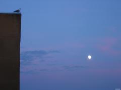 DSC00121.JPG